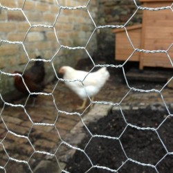 Monotop (1") Kümes Teli 200cm x 20mt.